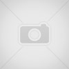 follar